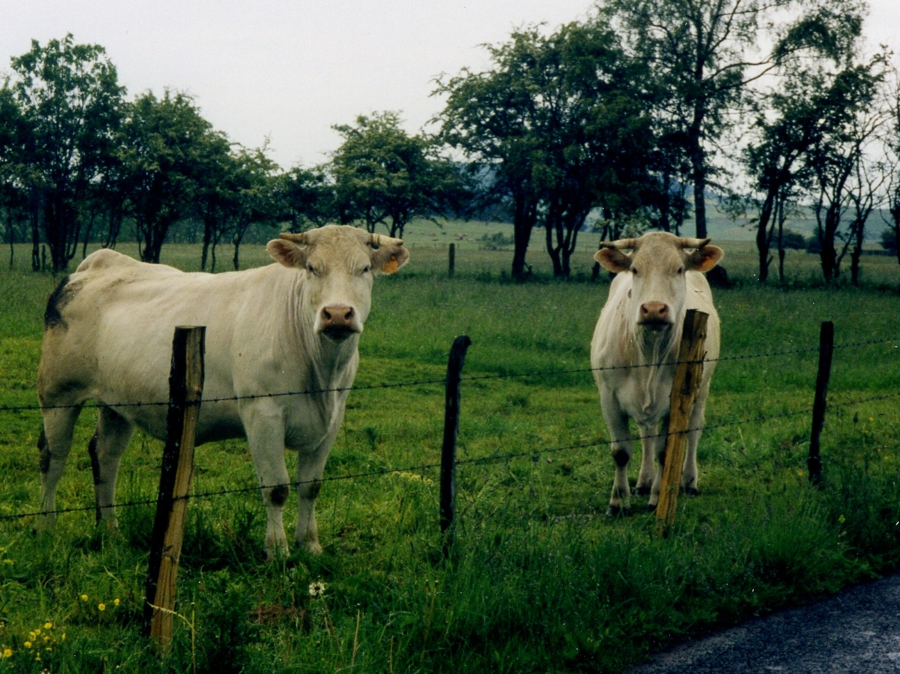 Motorreis Auvergne 2004-a