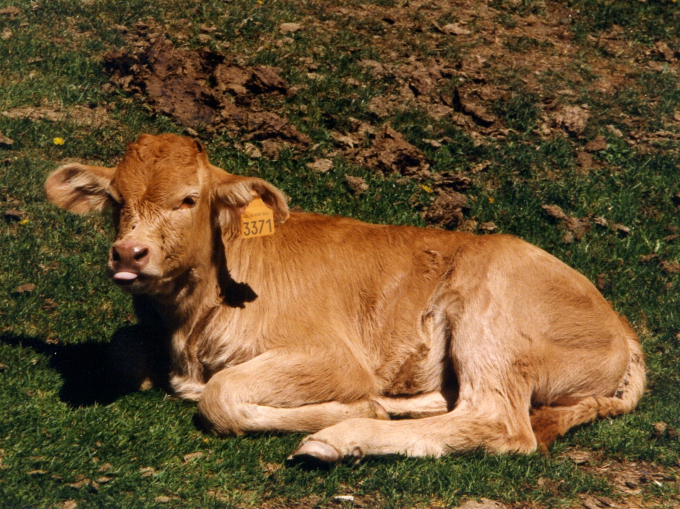 Motorreis Pyreneeën 1997-b